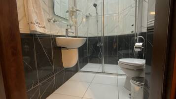 A modern bathroom with a glass shower enclosure, a white sink, and a toilet.