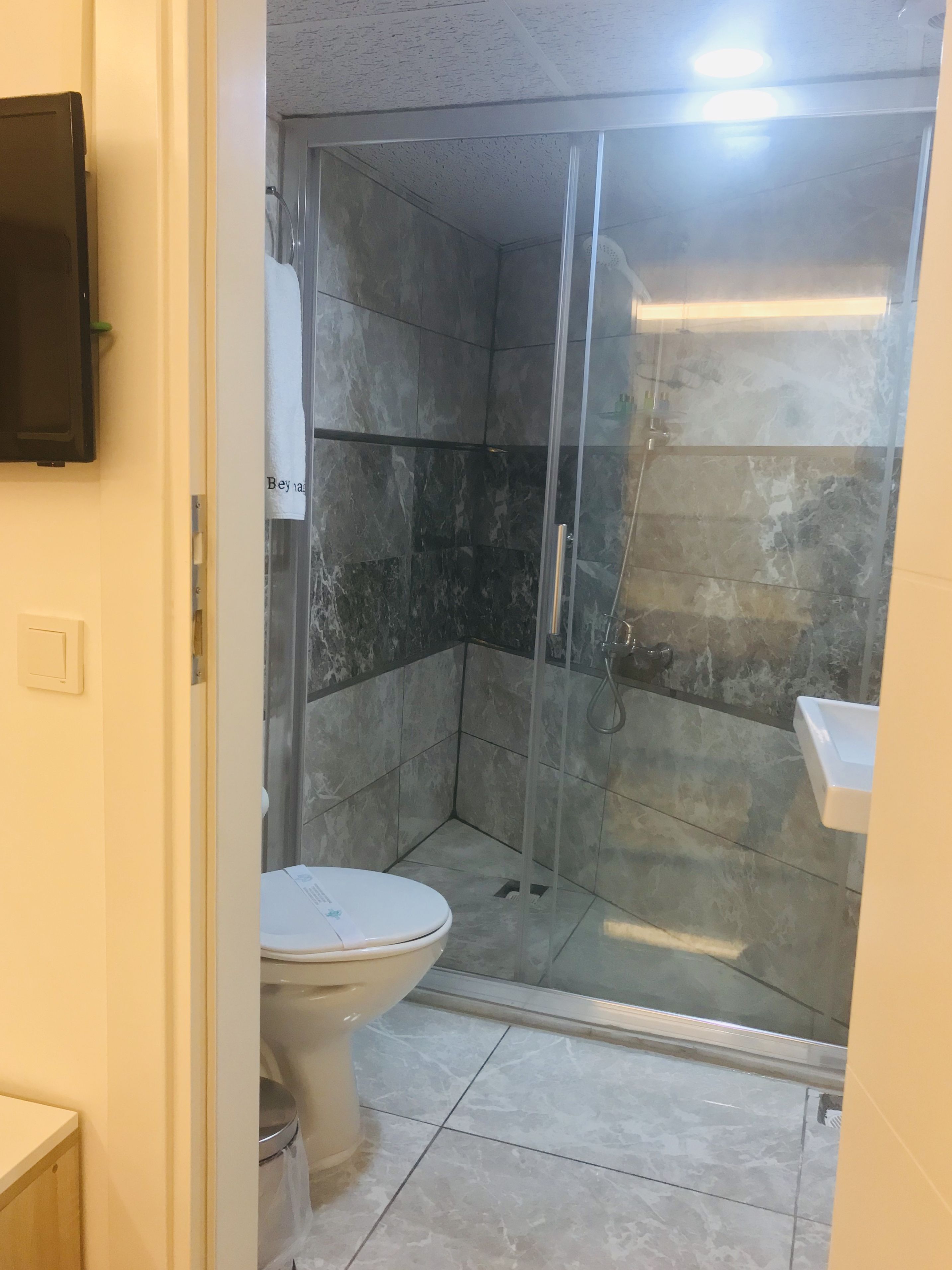 A bathroom with a toilet, a shower with a glass door, and a sink.