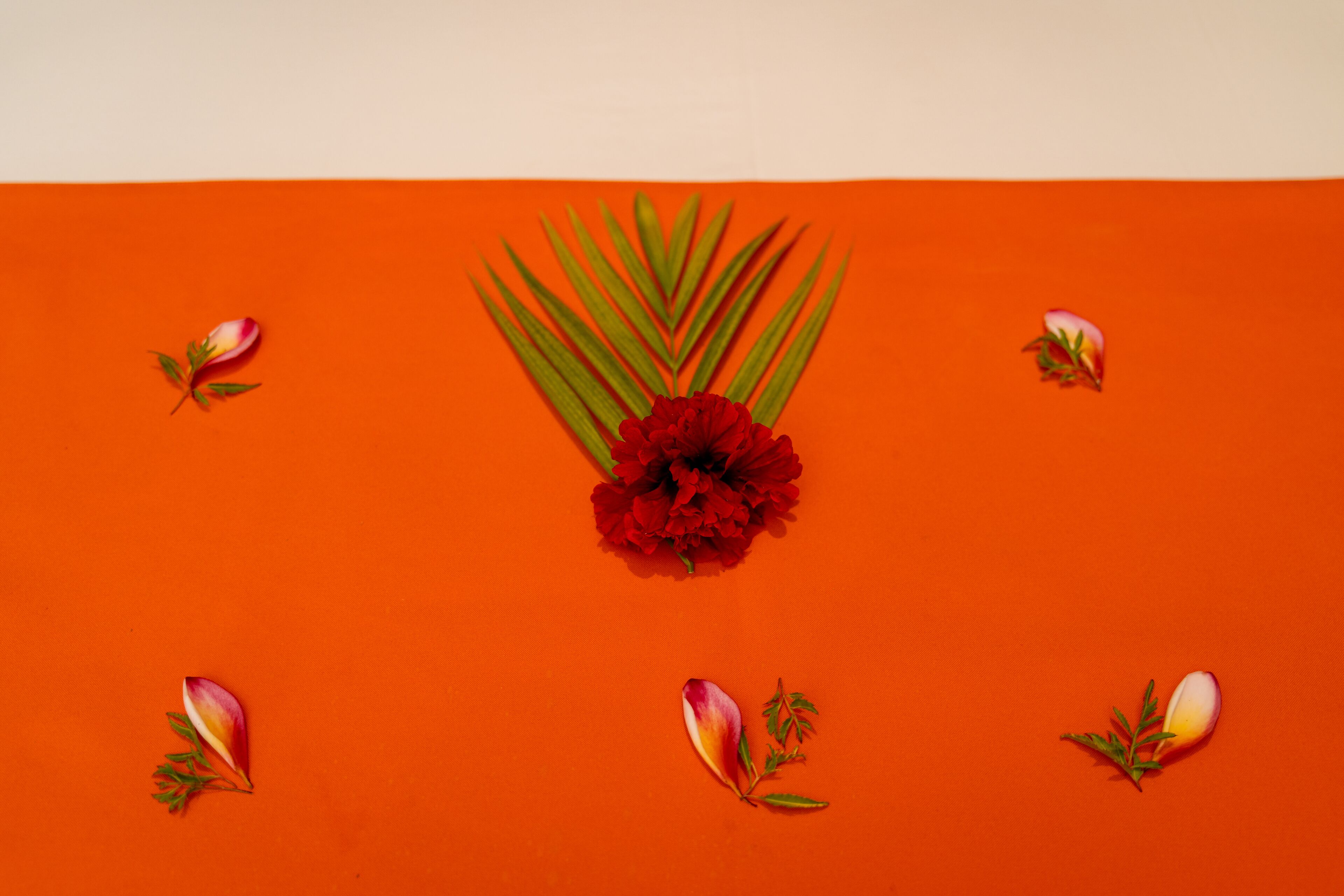 A red flower arrangement on an orange background.