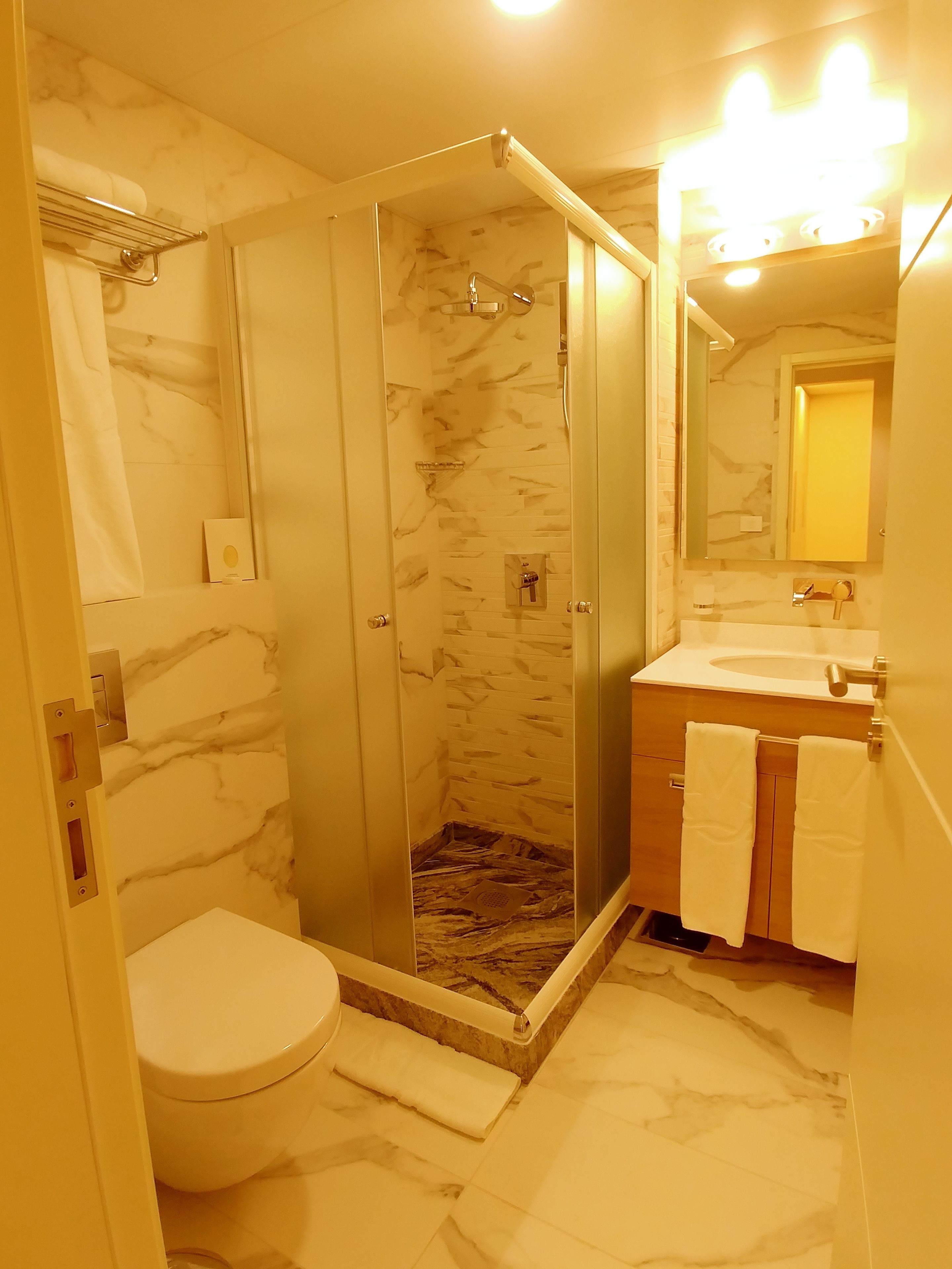A bathroom with a glass-enclosed shower, a toilet, and a sink with a mirror.