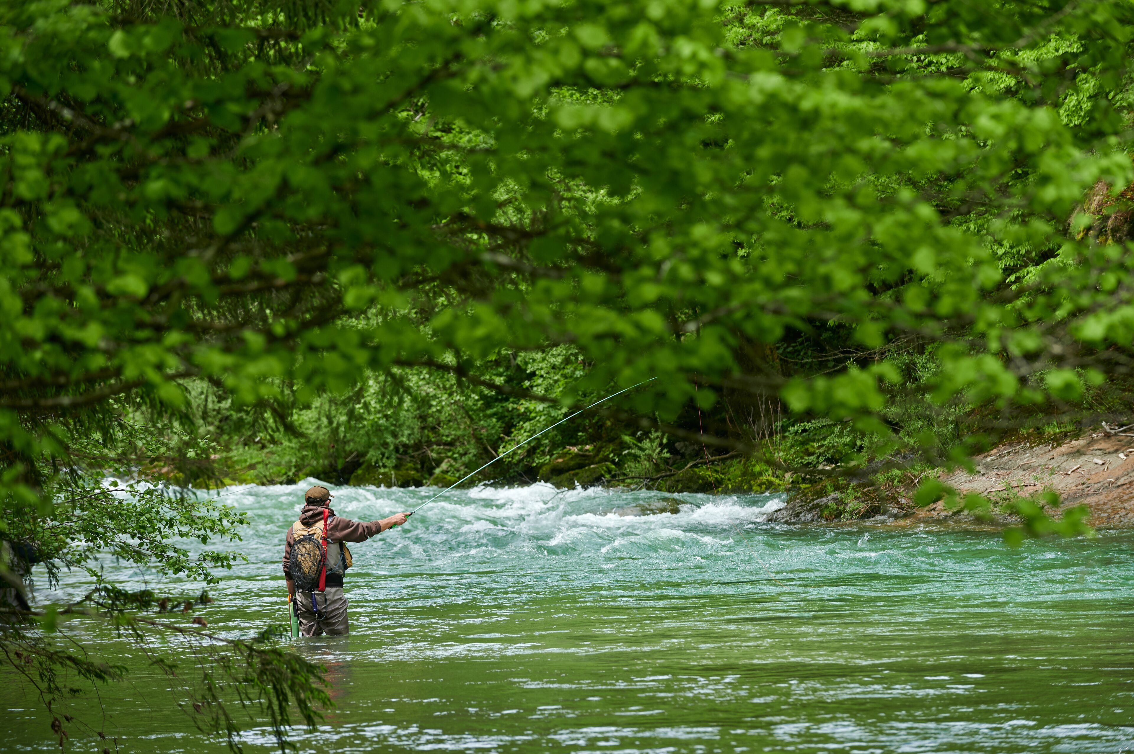 Iemand staat in een rivier, omringd door dichte groene begroeiing.
