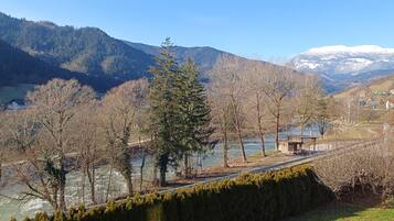 House, Non Smoking, Mountain View | View from room
