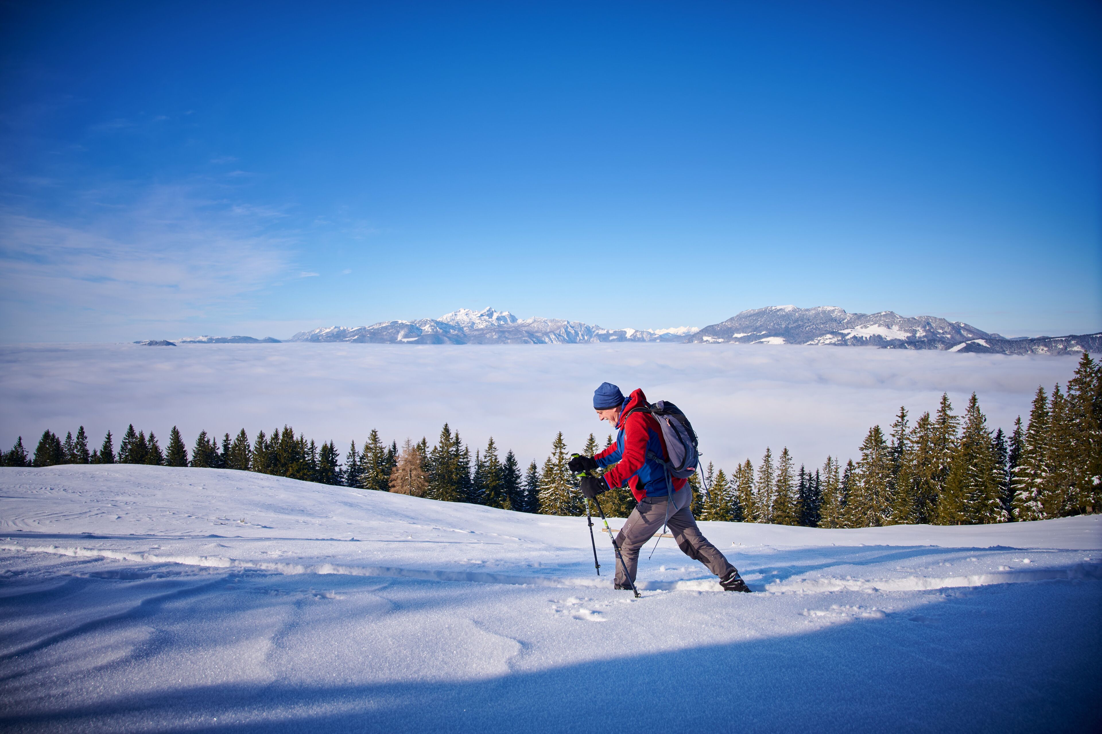 Una persona fa trekking su una montagna innevata, con vista chiara su montagne innevate in lontananza e una zona boschiva.