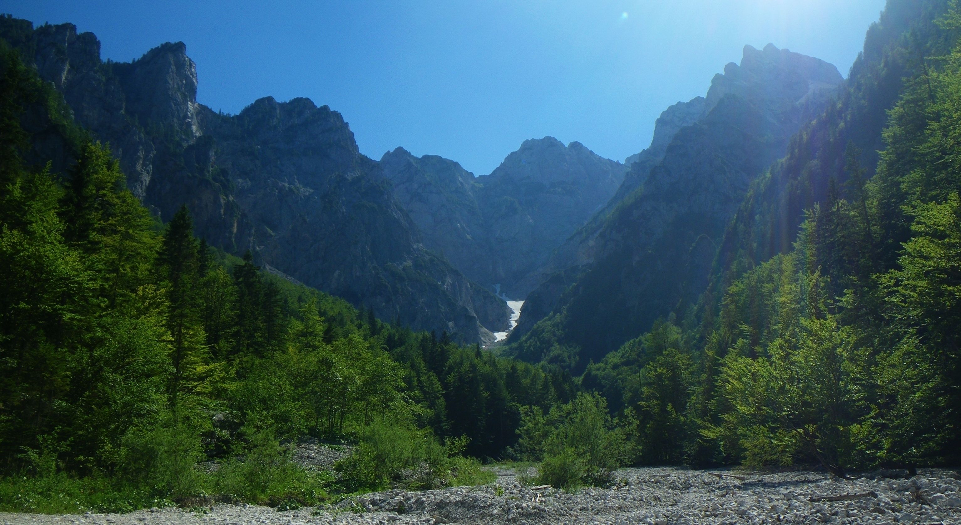 A mountainous landscape with dense forests and a river.