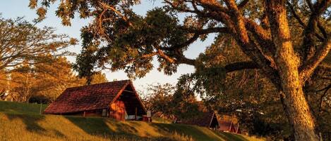 A rustic barn with a sloped roof, surrounded by grass and trees.