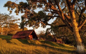A rustic barn with a sloped roof, surrounded by grass and trees. - Hotel Fazenda Menino da Porteira (Ouro Fino)
