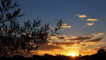 A sunset with silhouettes of trees and a clear sky.