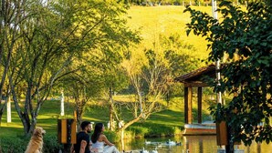 A park with a pond, a gazebo, and a dog. - Hotel Fazenda Menino da Porteira (Ouro Fino)