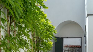 Un couloir étroit au plancher de bois, bordé de plantes en pot aux fleurs blanches et violettes, qui mène à une porte donnant sur un mur de pierre et un toit recouvert de tuiles.