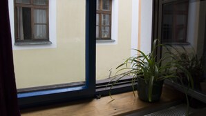 A window with a view of a building's facade, a potted plant on the windowsill, and a wooden ledge below. - Red Point (Tabor)