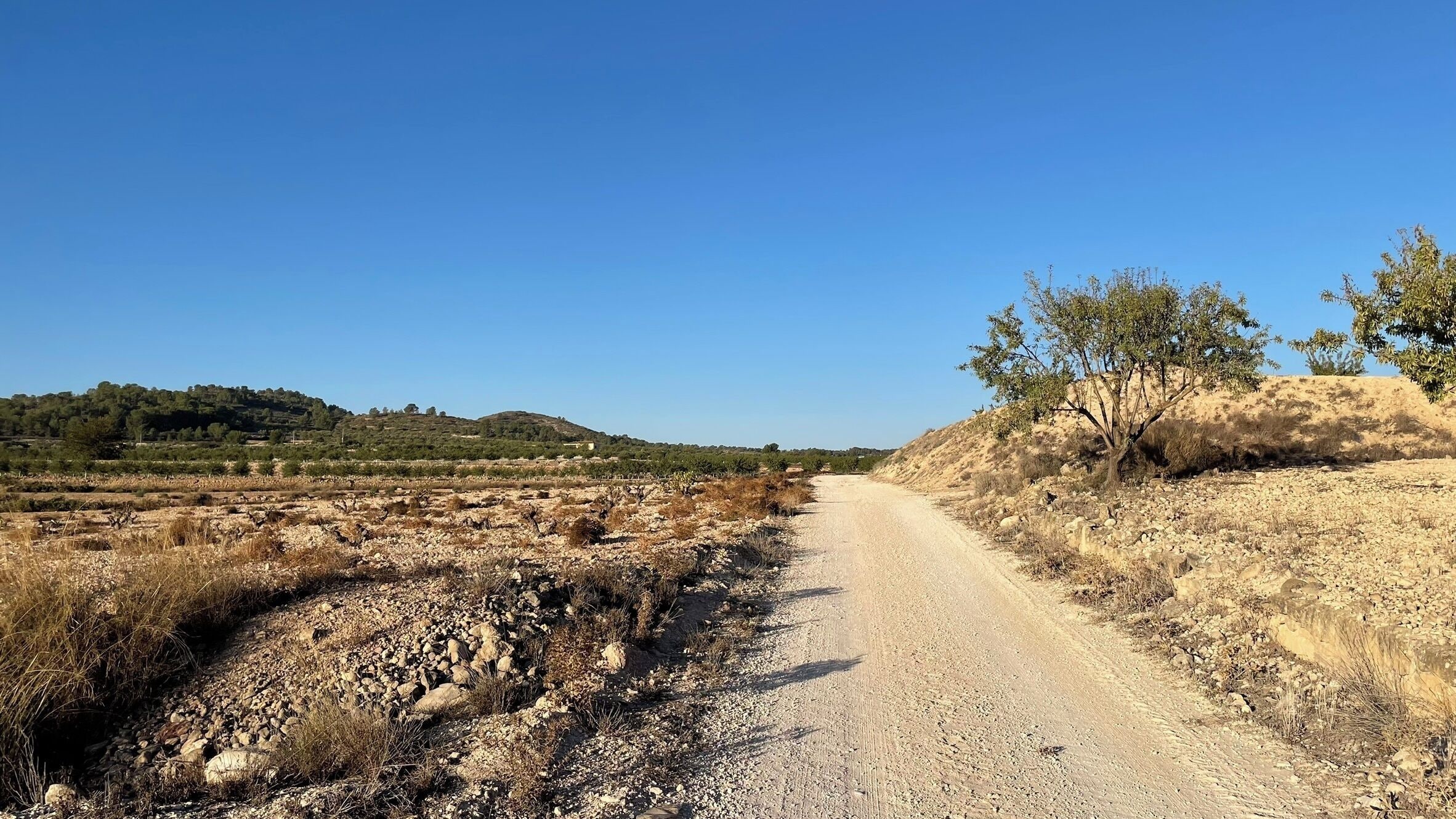 Foto - Casa Rural Ubeda - B&B - Pinoso-Alicante