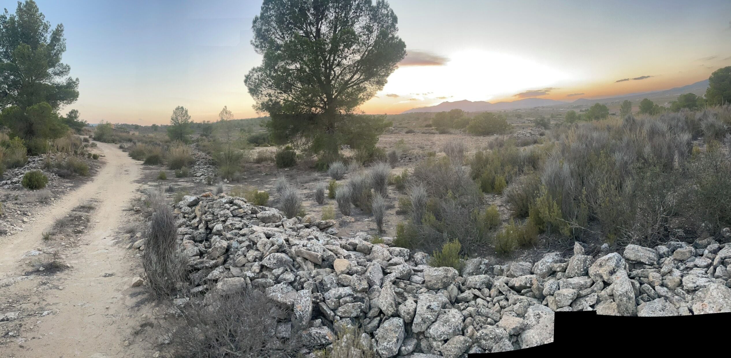 Foto - Casa Rural Ubeda - B&B - Pinoso-Alicante