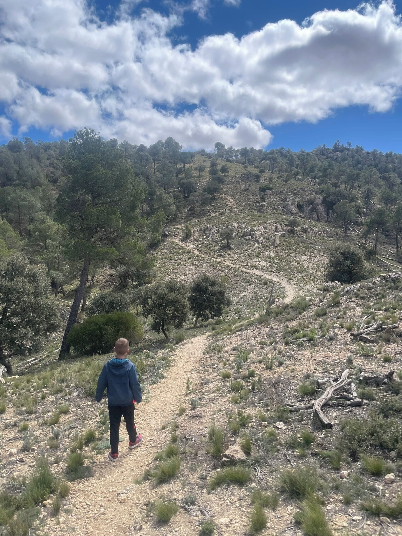 Foto - Casa Rural Ubeda - B&B - Pinoso-Alicante