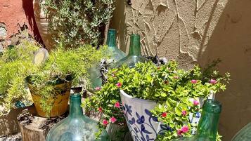 Varias botellas de vidrio y macetas con plantas dispuestas al aire libre frente a una pared con textura.