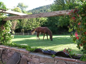 Property amenity - Sas Abbilas (Bonorva)