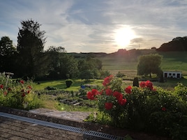 A garden with a stone pathway, lush greenery, and red flowers.