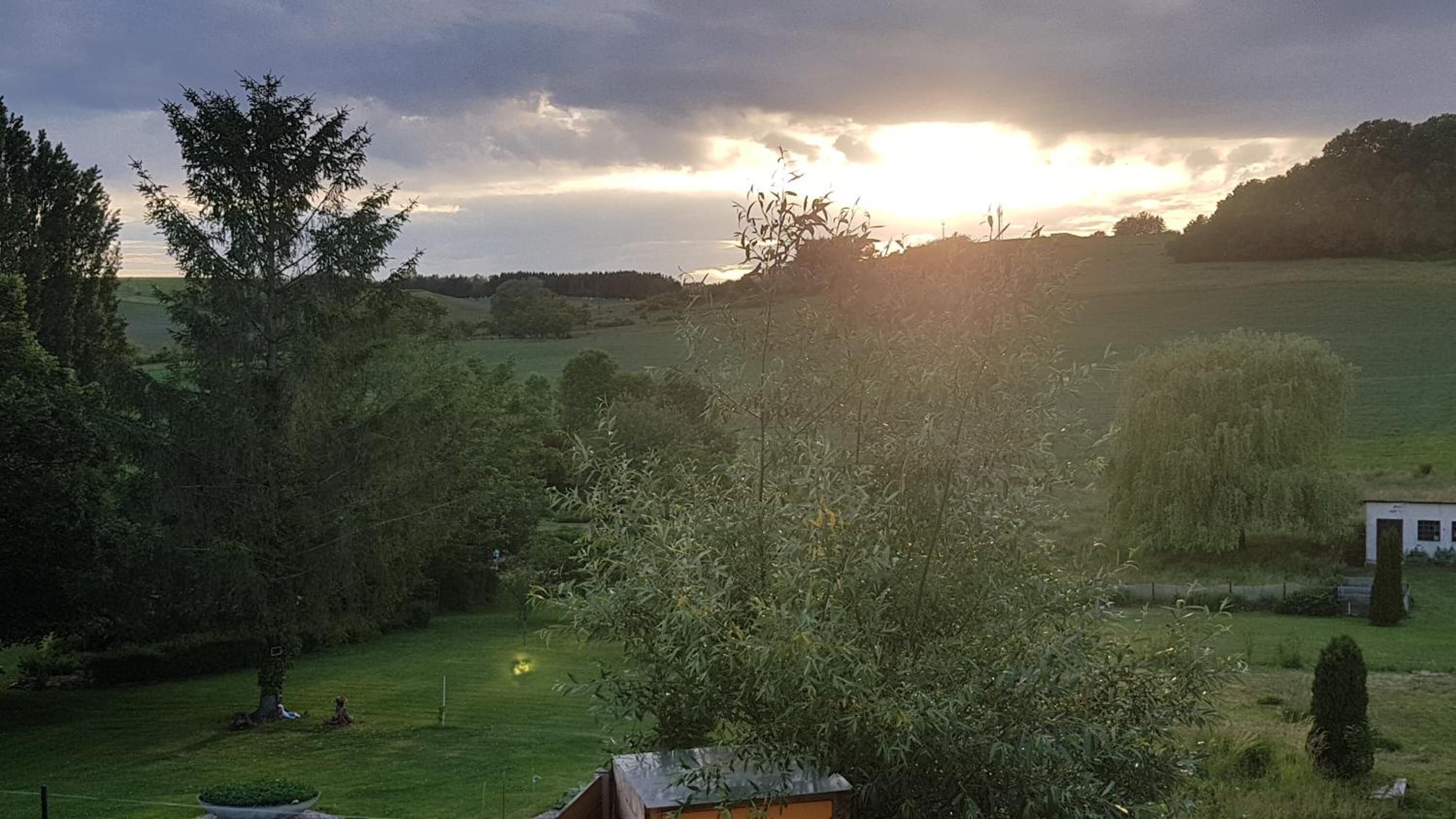 A rural landscape with a house surrounded by trees and open fields.