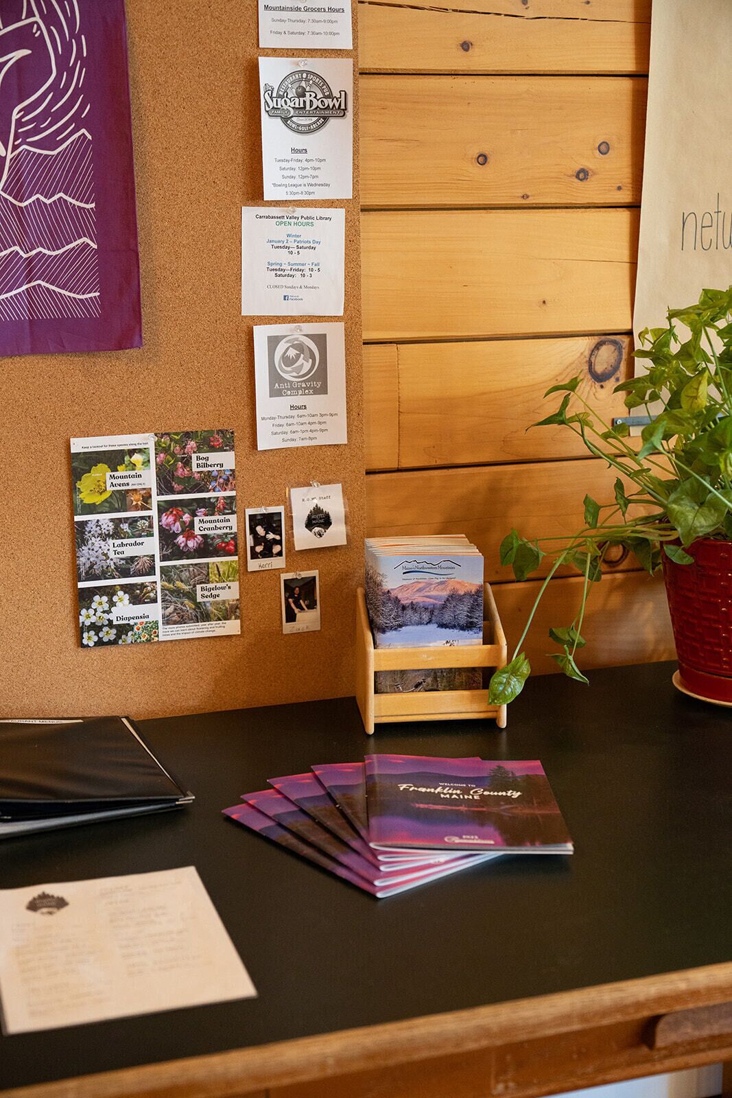 A bulletin board with various notices, a plant, and a stack of brochures on a wooden counter.