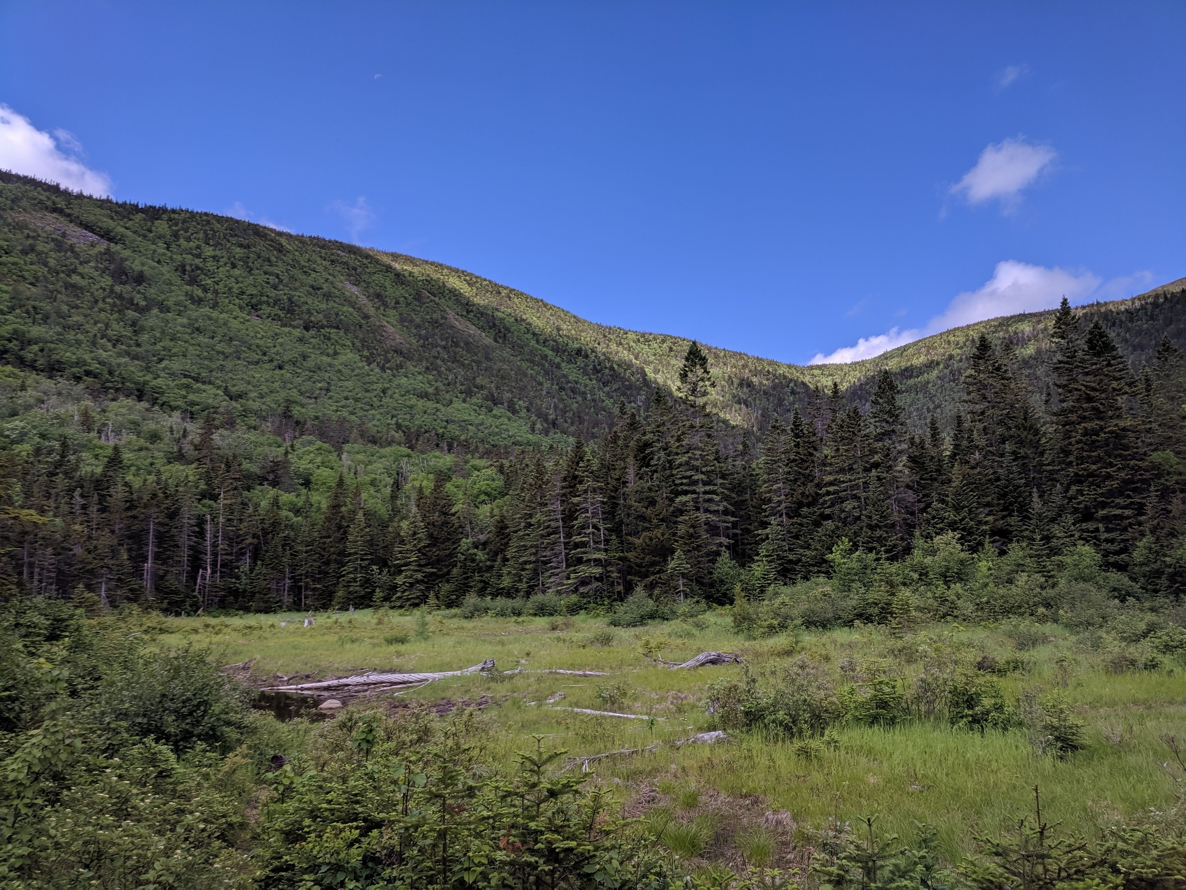 A mountainous landscape with dense forests and a clear sky.
