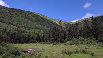 A mountainous landscape with dense forests and a clear sky.