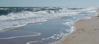 Great center-island location, walk everywhere!