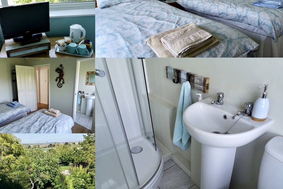 A room with two beds, a television, a coffee maker, and a view of a garden.