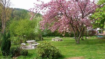 A garden with a large flowering tree, stone benches, and a grassy area.
