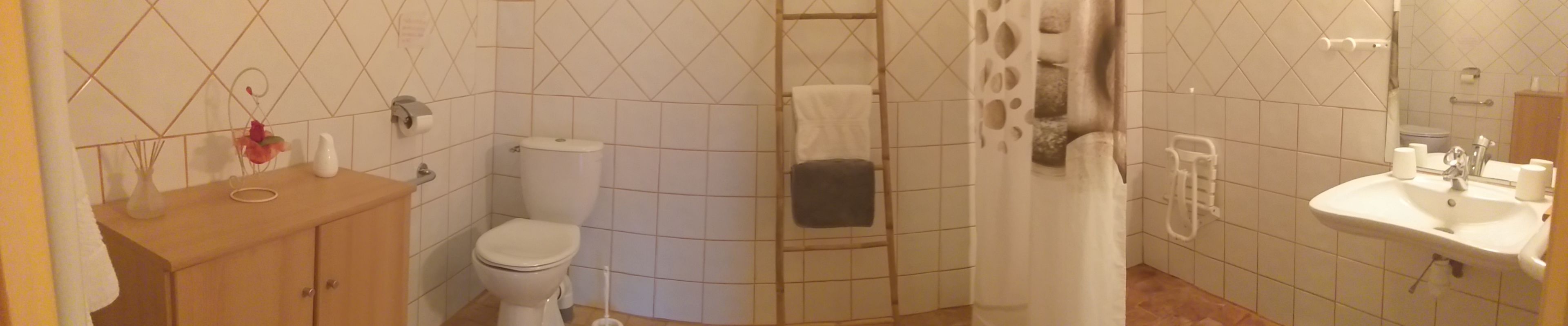 A bathroom with a toilet, sink, and shower area.