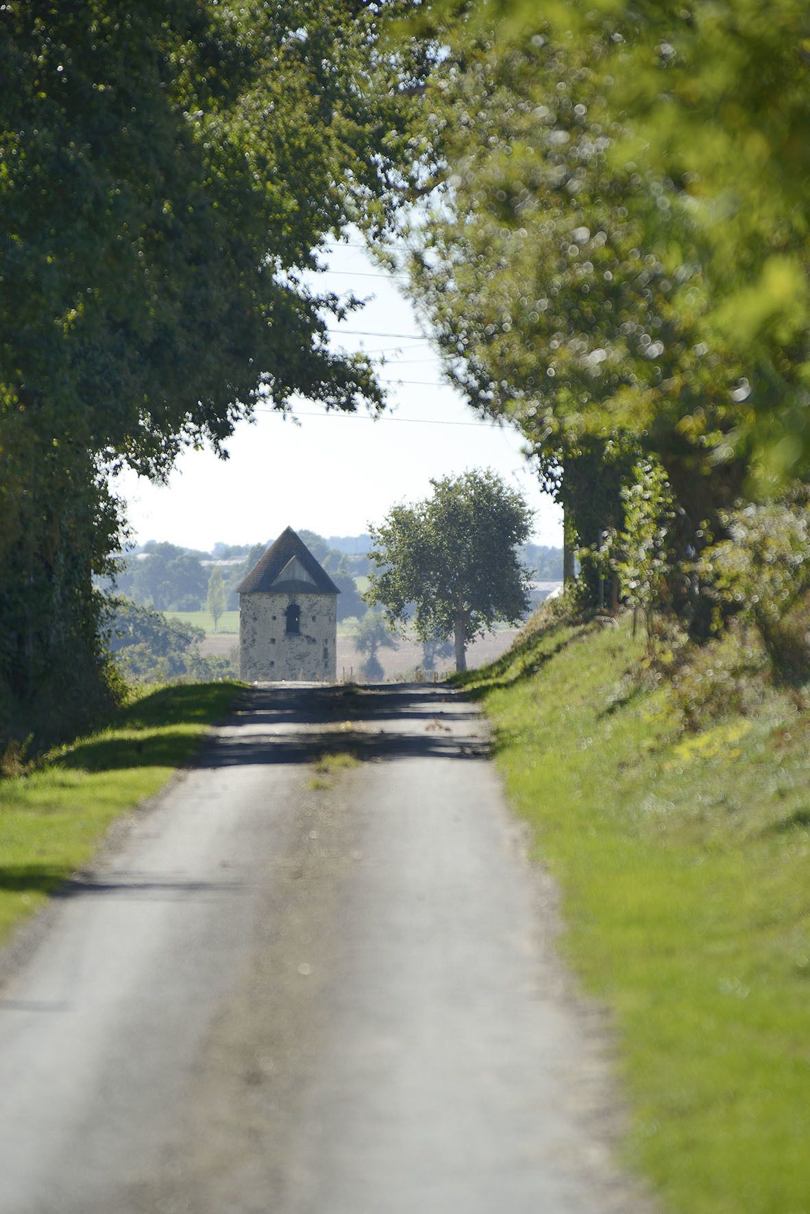 Un chemin de campagne mène à un bâtiment en pierre surmonté d’un toit de chaume, le tout étant entouré de verdure.