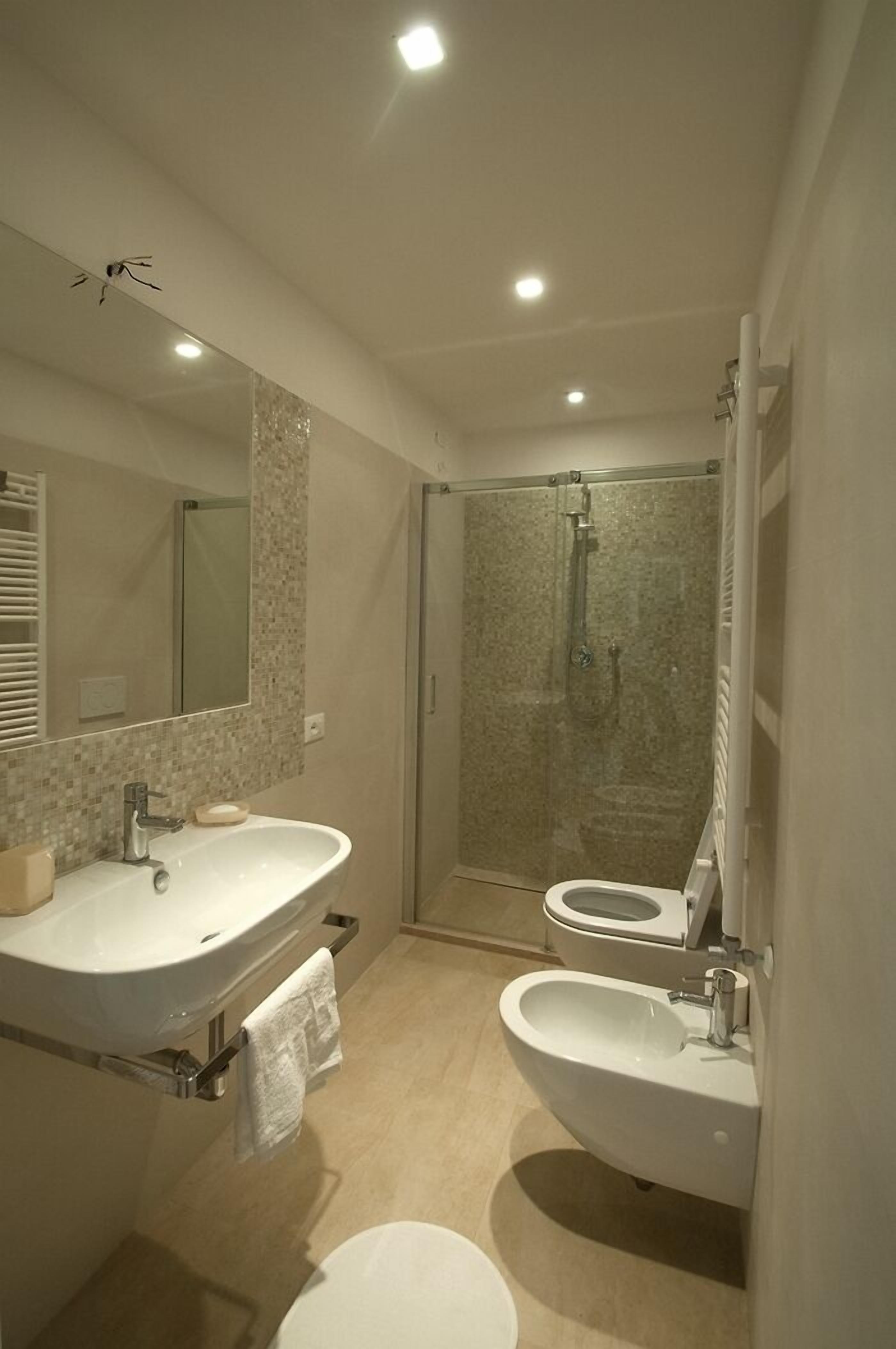 Dusche, Haartrockner, Bidet, Handtücher