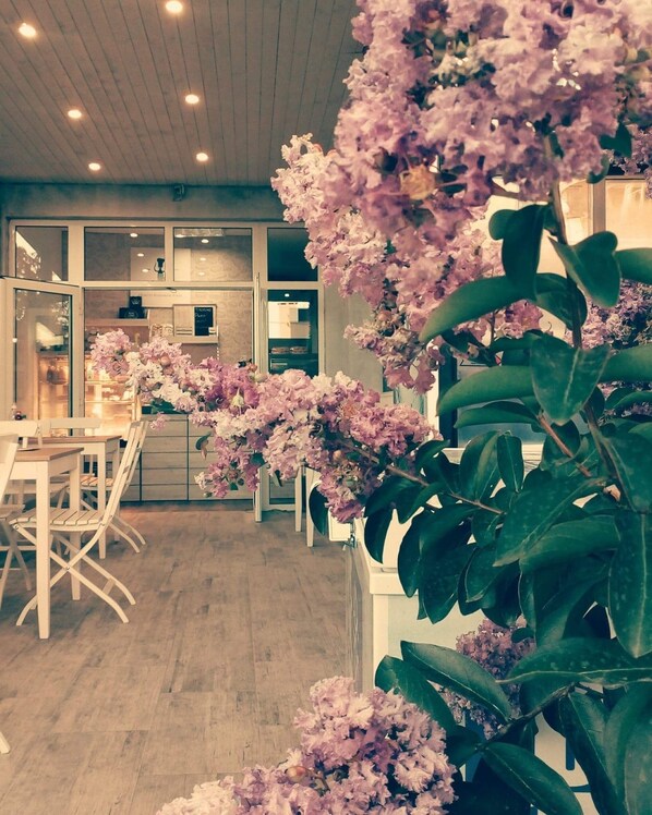 Front of property - Dream House (Tsarevo)