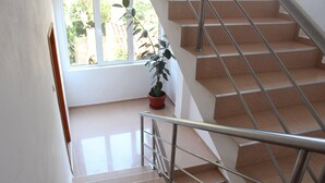 Uma escadaria com corrimãos de metal e um vaso de planta na base.