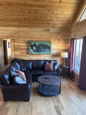 Smart TV, fireplace, books, video library - Sweet T's Cabin Great Smoky Mtns, Hot Tub, Polar Express, King Bed, WiFi (Bryson City)