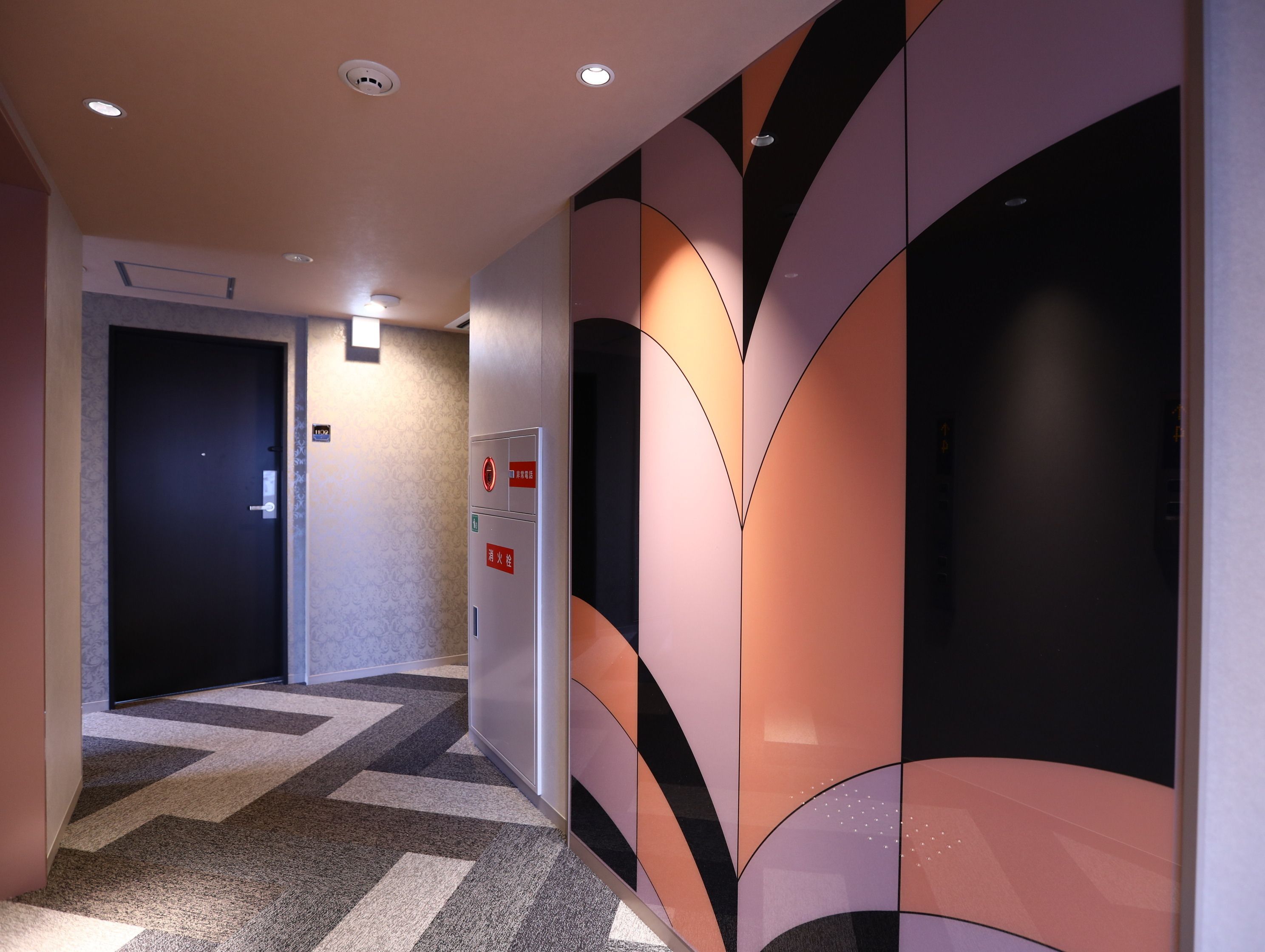 Een gang met een kamerbreed tapijt, een deur en een wand met abstracte designs.