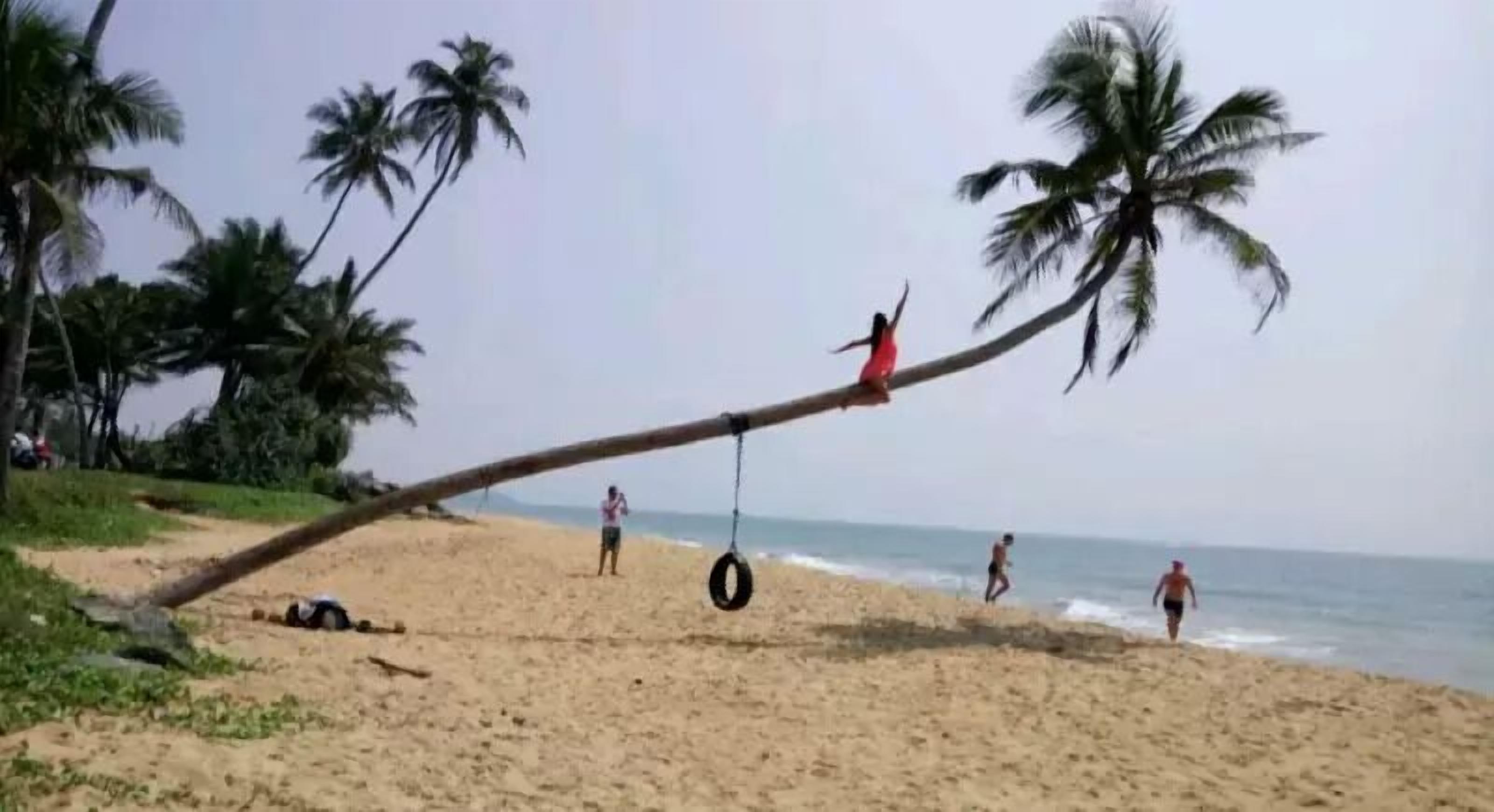 Una spiaggia con un albero caduto, un'altalena da pneumatico e palme.