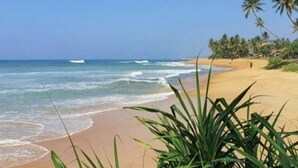 Uma praia com céu claro, ondas e palmeiras.