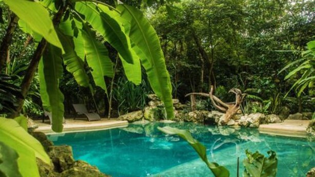 Ảnh chưa phân loại, 1 trong số 27 ảnh, nút