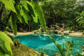 A clear blue pool surrounded by lush greenery and rocks. - Reserva Ecologica Hacienda Cancun (Cancun)
