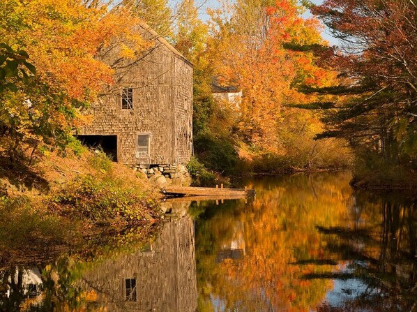 Ecotours - The Cottages of Lynchburg (Lynchburg)