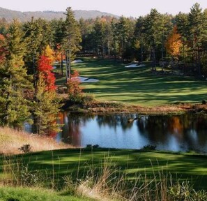 Golf - The Cottages of Lynchburg (Lynchburg)