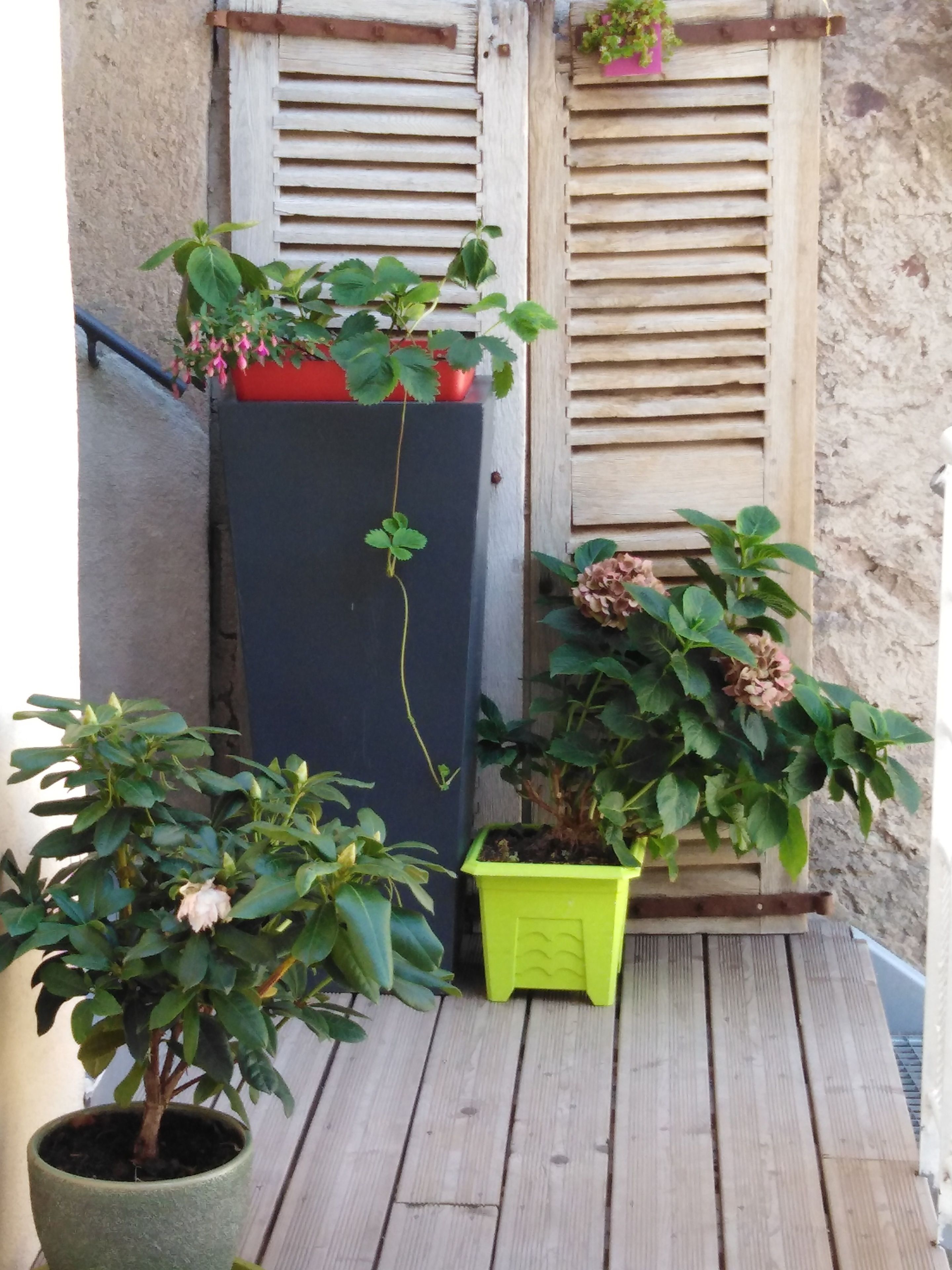 Foto - Les Chambres Hautes d'Anastasia