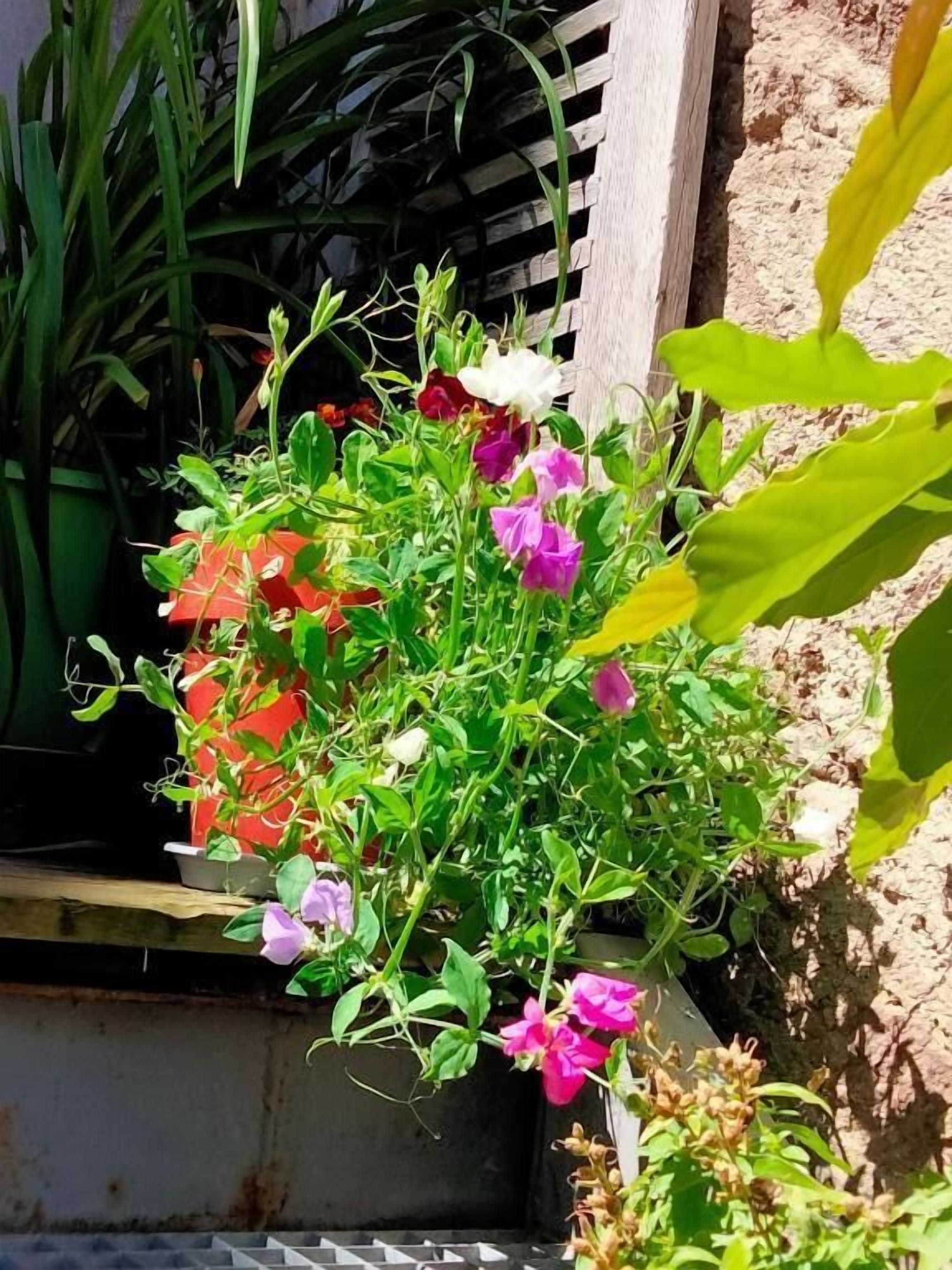 Foto - Les Chambres Hautes d'Anastasia