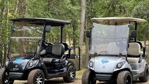 Two golf carts parked in a wooded area. - Luxury RV at Bolton Bay on Long Lake (Park Rapids)