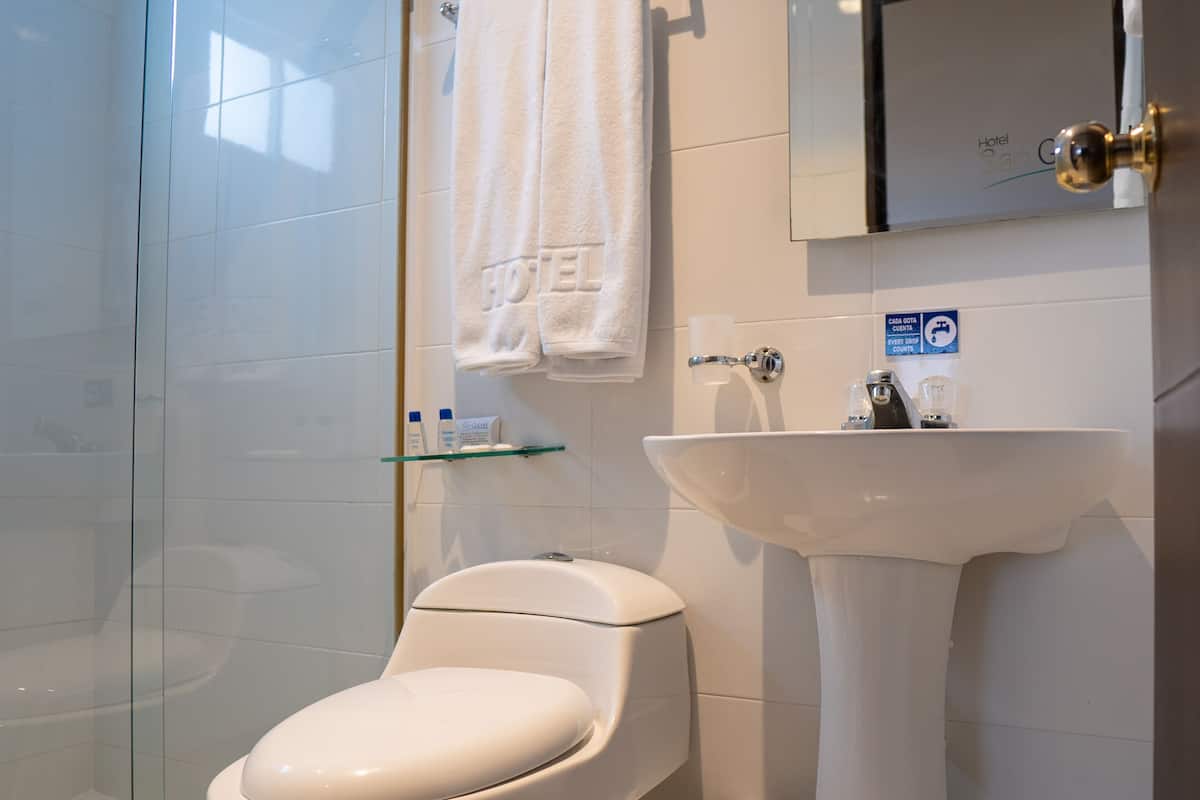 shower, free toiletries, hair dryer, towels