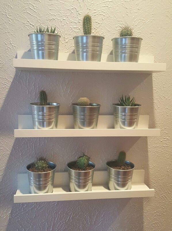 Trois étagères en métal sur lesquelles sont disposés des cactus en pot.