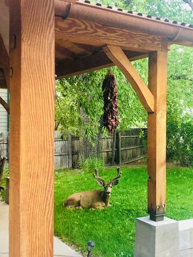 Wild Horse~House Downtown Durango *Sanitized & High Speed Wi-Fi*