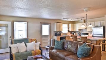 Télévision, cheminée, lecteur de DVD, livres