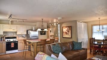 Télévision, cheminée, lecteur de DVD, livres