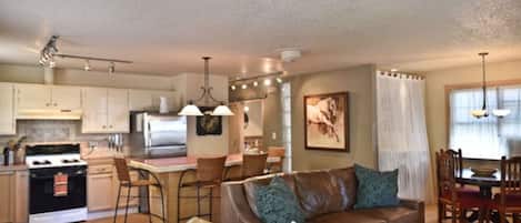 Télévision, cheminée, lecteur de DVD, livres