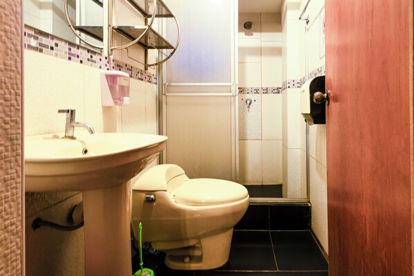 Baño con lavamanos, inodoro y ducha.